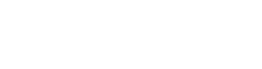 Nexsus Digital Solutions Logo